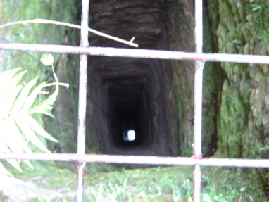 DSC03382
