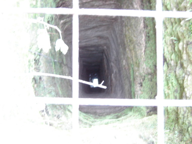 DSC03383