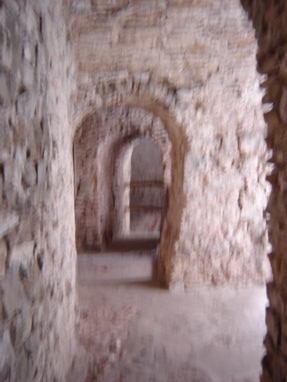 DSC03398