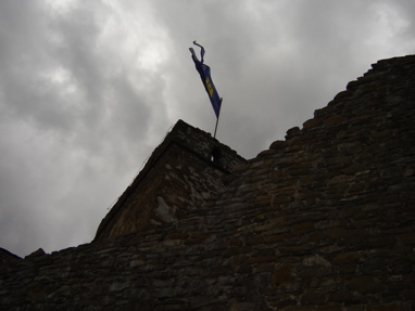 DSC03401