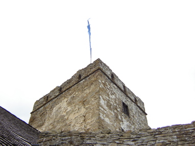 DSC03402