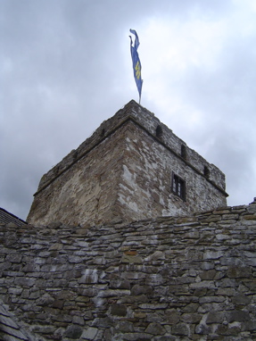DSC01226