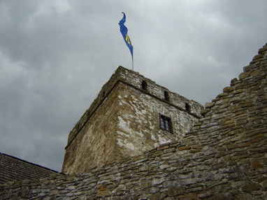 DSC03408