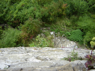 DSC03409