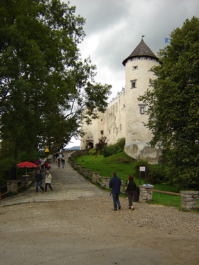 DSC03354