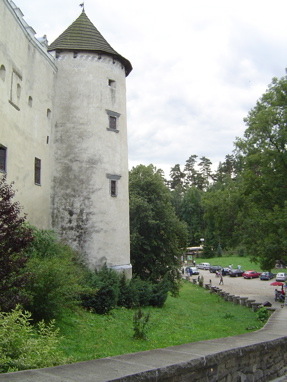 DSC06290