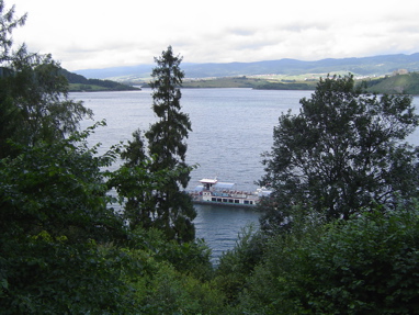 DSC01247