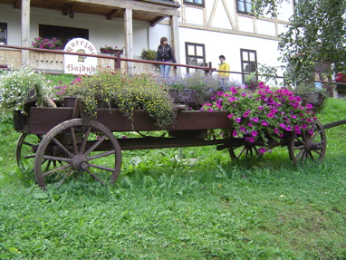 DSC01258