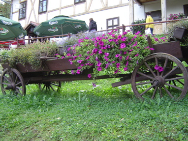 DSC01259