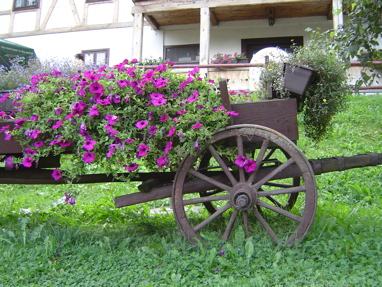 DSC01260