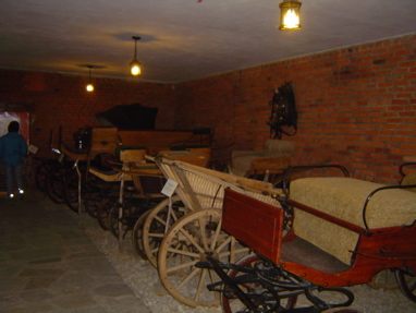 DSC01262