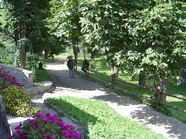 DSC01268