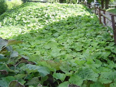 DSC01269