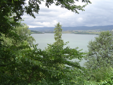 DSC01174