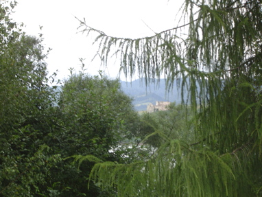 DSC06253