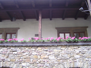 DSC01183