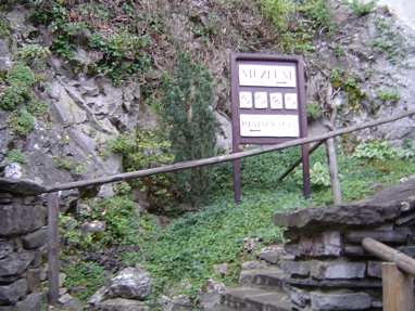 DSC01184