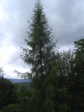 DSC01150
