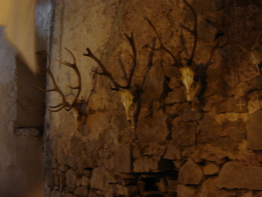 DSC03368