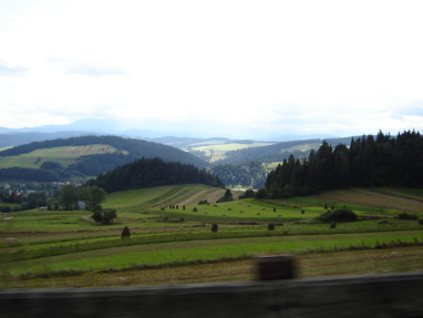 DSC03428