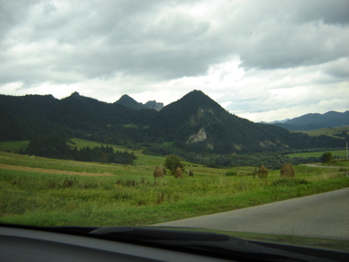DSC03437
