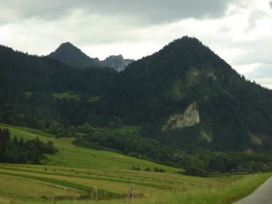 DSC03438