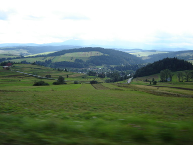 DSC03430