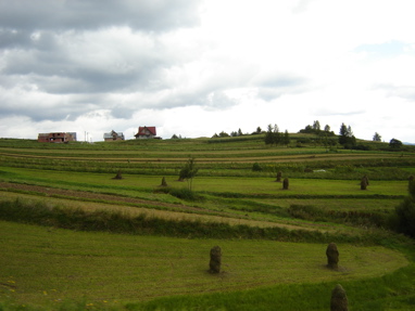 DSC03431