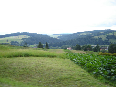 DSC03432