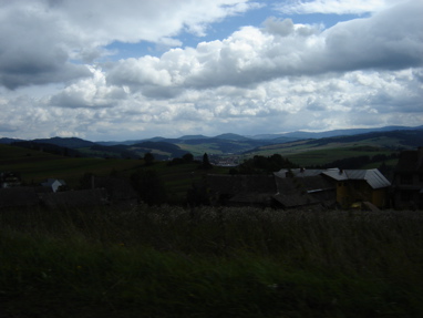 DSC03433
