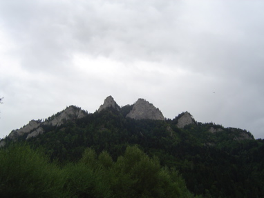 DSC06321