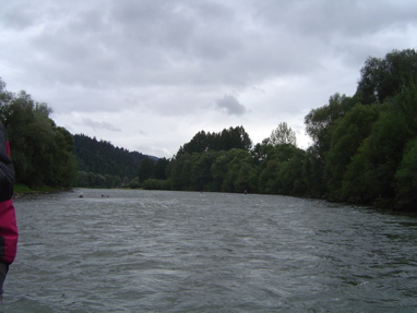 DSC01309