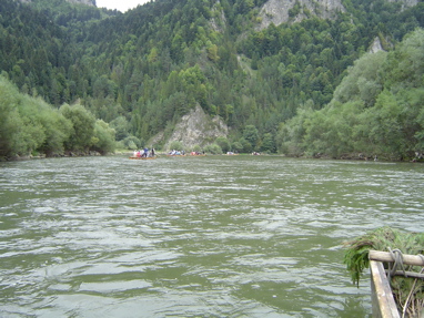 DSC01310