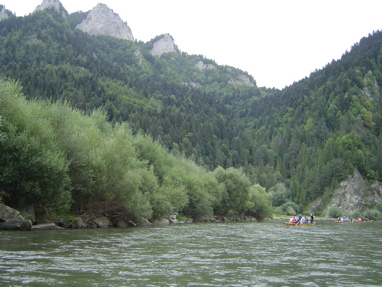DSC01311