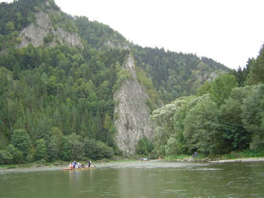 DSC06323