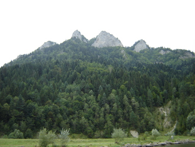 DSC03474