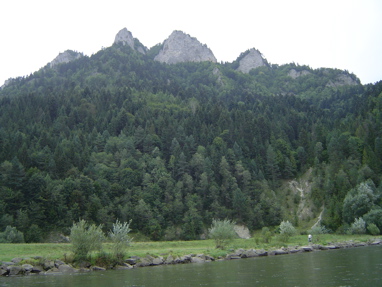 DSC01313