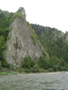 DSC06324