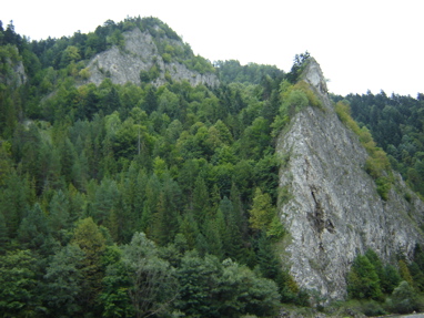DSC03477