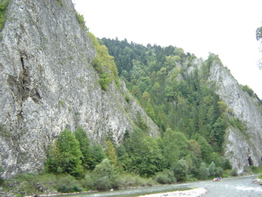 DSC03478