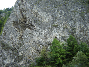 DSC03479