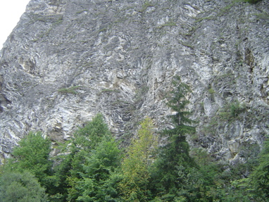 DSC01317