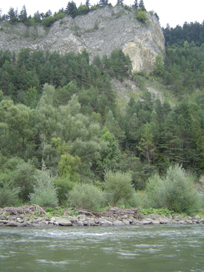 DSC01276