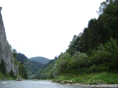DSC03482