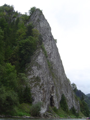 DSC01320
