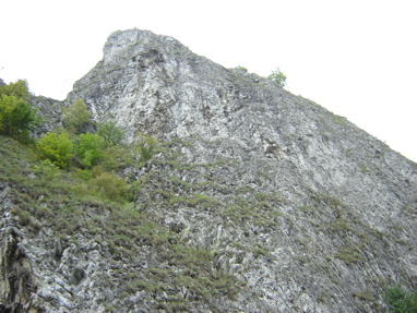 DSC03483