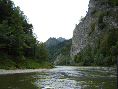 DSC03484