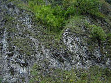 DSC03485