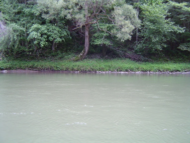 DSC01329