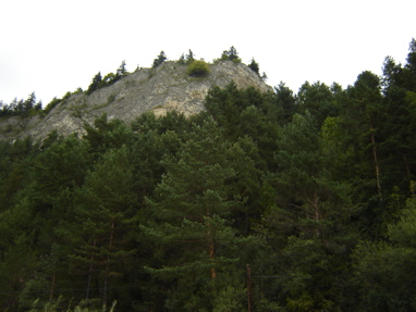 DSC03442